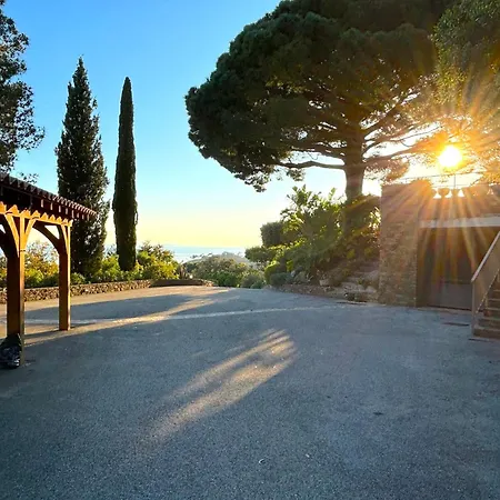 Bruyeres * Bormes-les-Mimosas