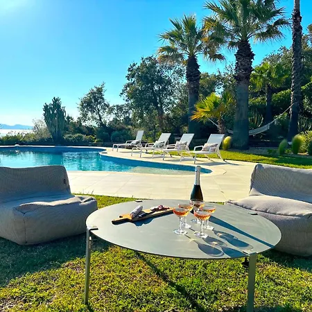 Bruyeres Bormes-les-Mimosas